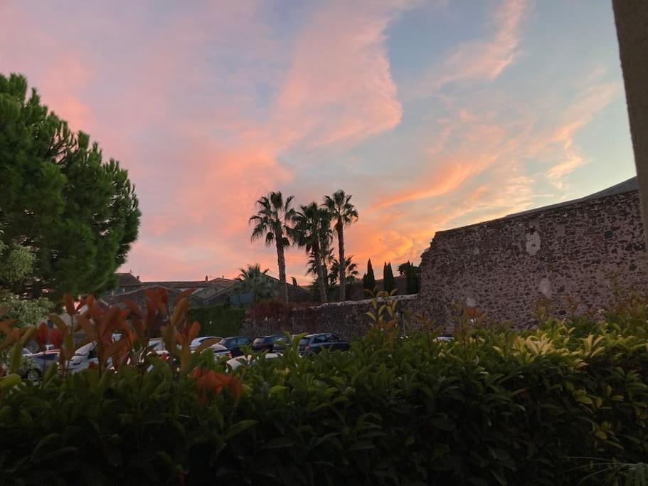 Lou Cameou Marseillan (Herault) Ngoại thất bức ảnh
