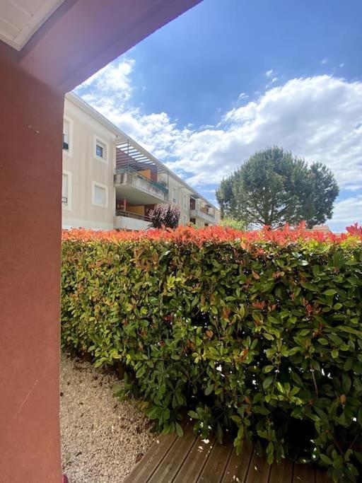 Lou Cameou Marseillan (Herault) Ngoại thất bức ảnh