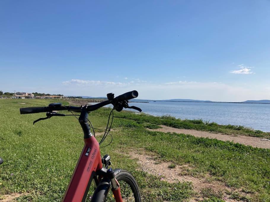 Lou Cameou Marseillan (Herault) Ngoại thất bức ảnh